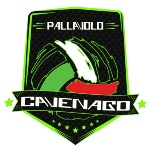 logo associazione : Dream Volley Cavenago